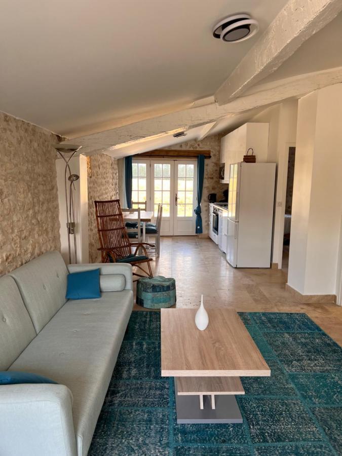 Chateau De Feusse Saint-Just-Luzac エクステリア 写真