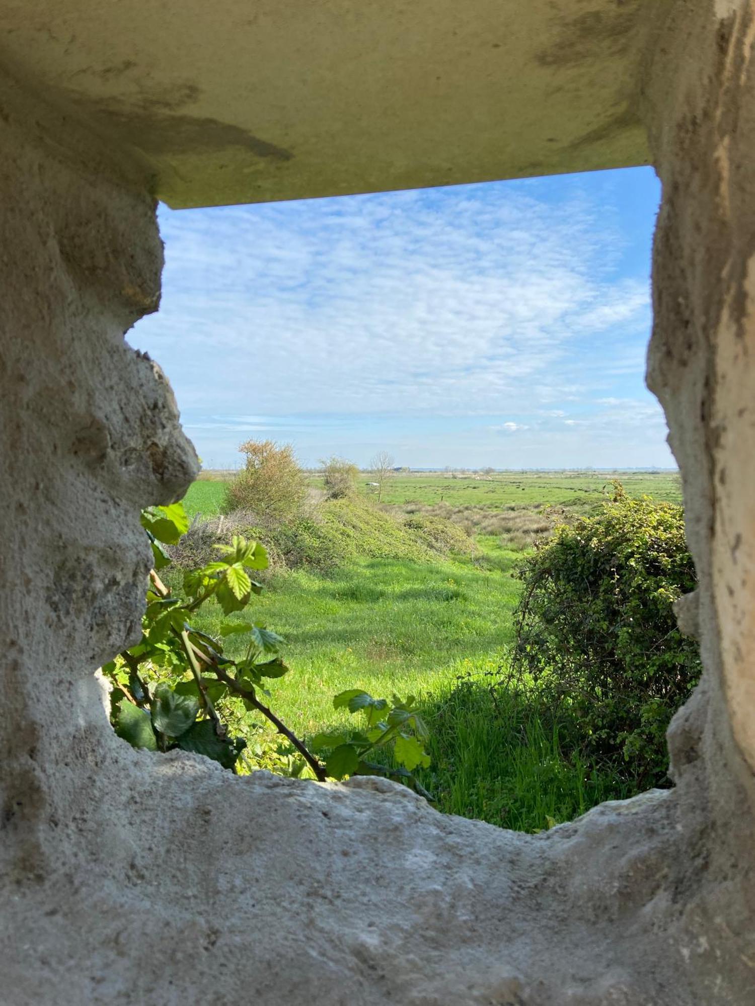 Chateau De Feusse Saint-Just-Luzac エクステリア 写真