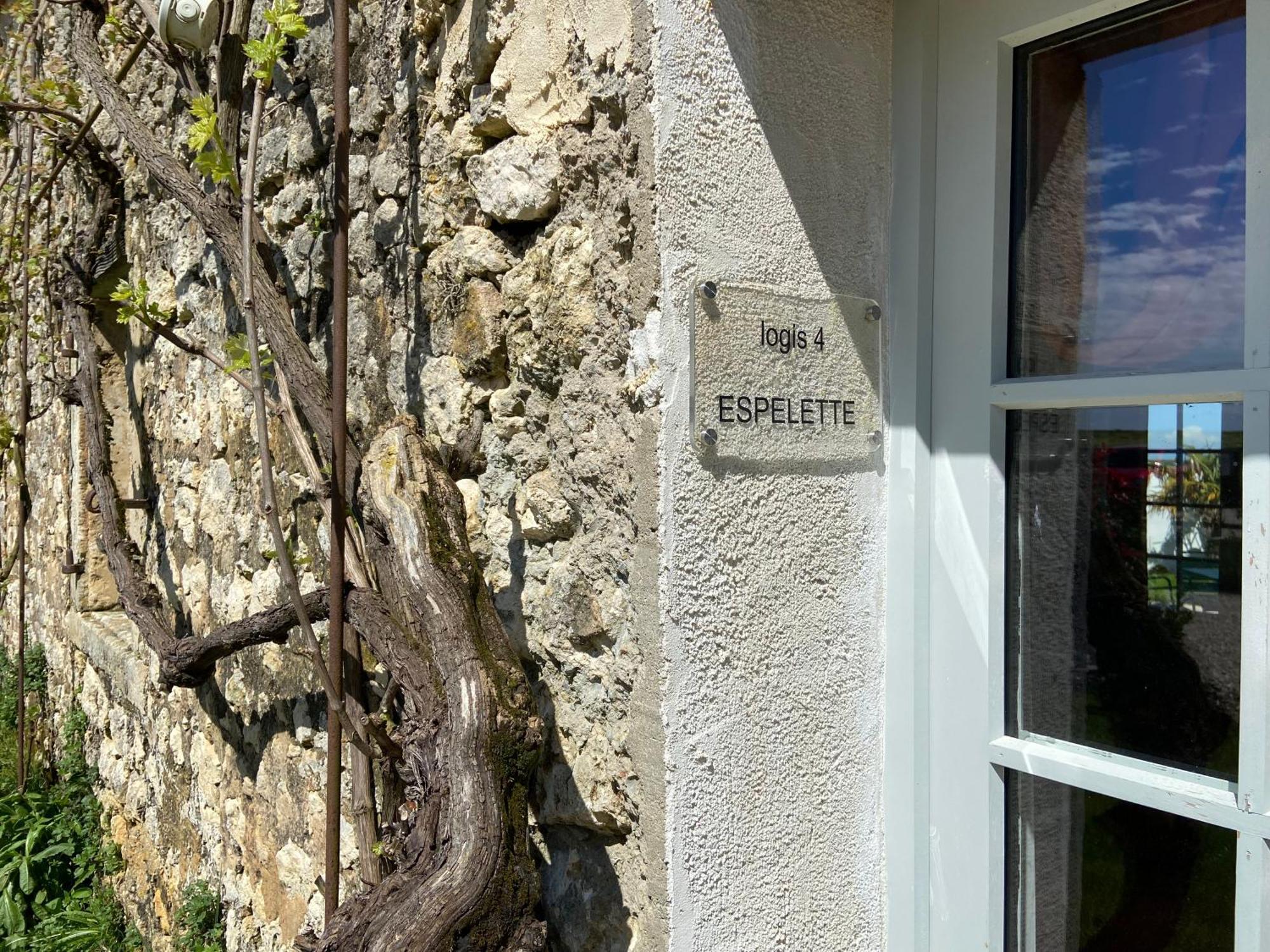 Chateau De Feusse Saint-Just-Luzac エクステリア 写真